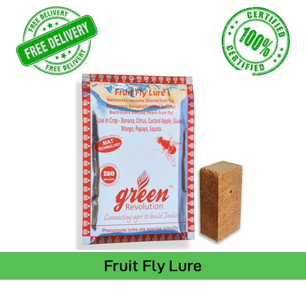 Fruit-Fly-Lure-(Pack-of-10)-Green-Revolution